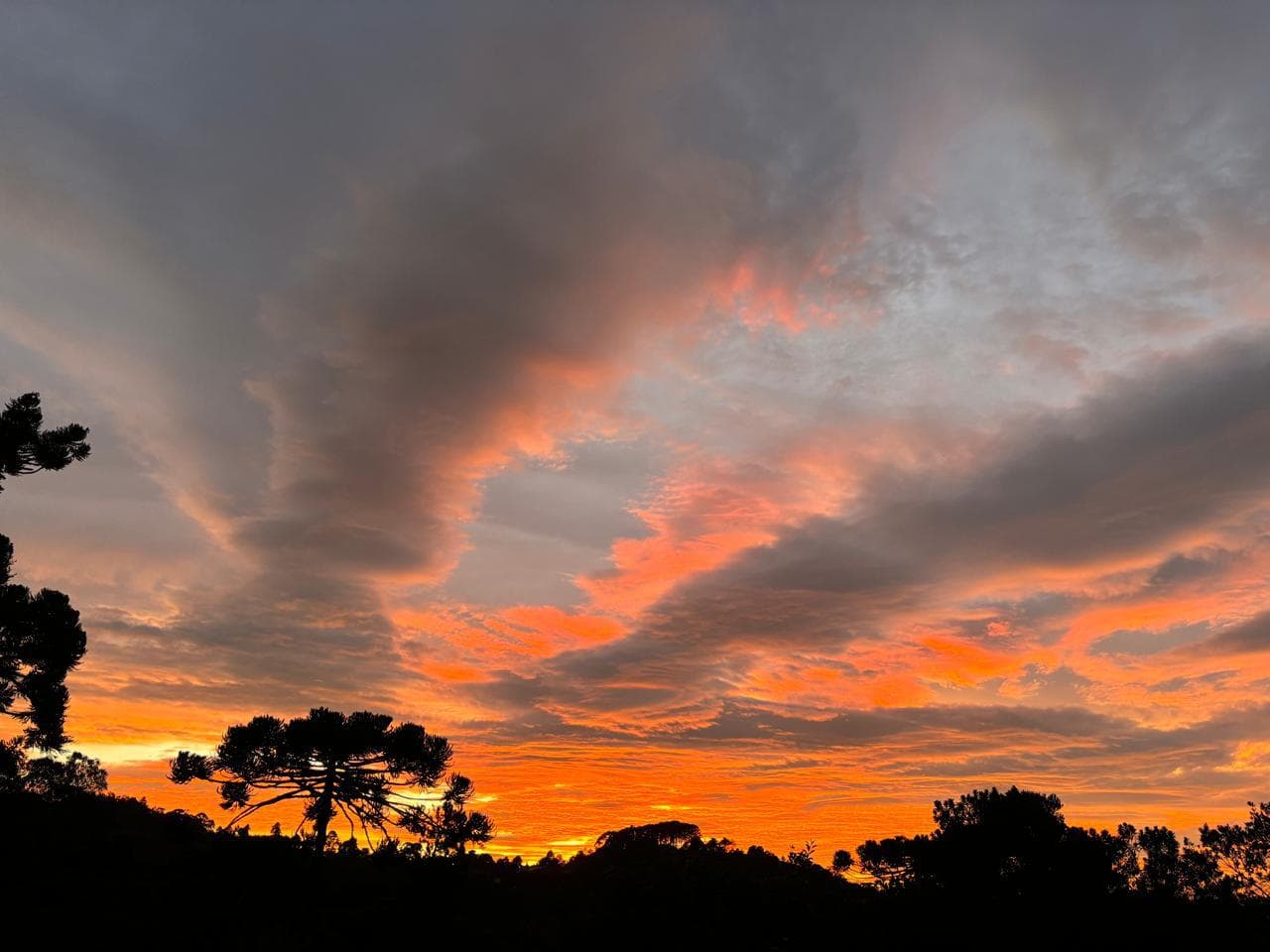 Céu alaranjado do entardecer sobre silhuetas de araucárias