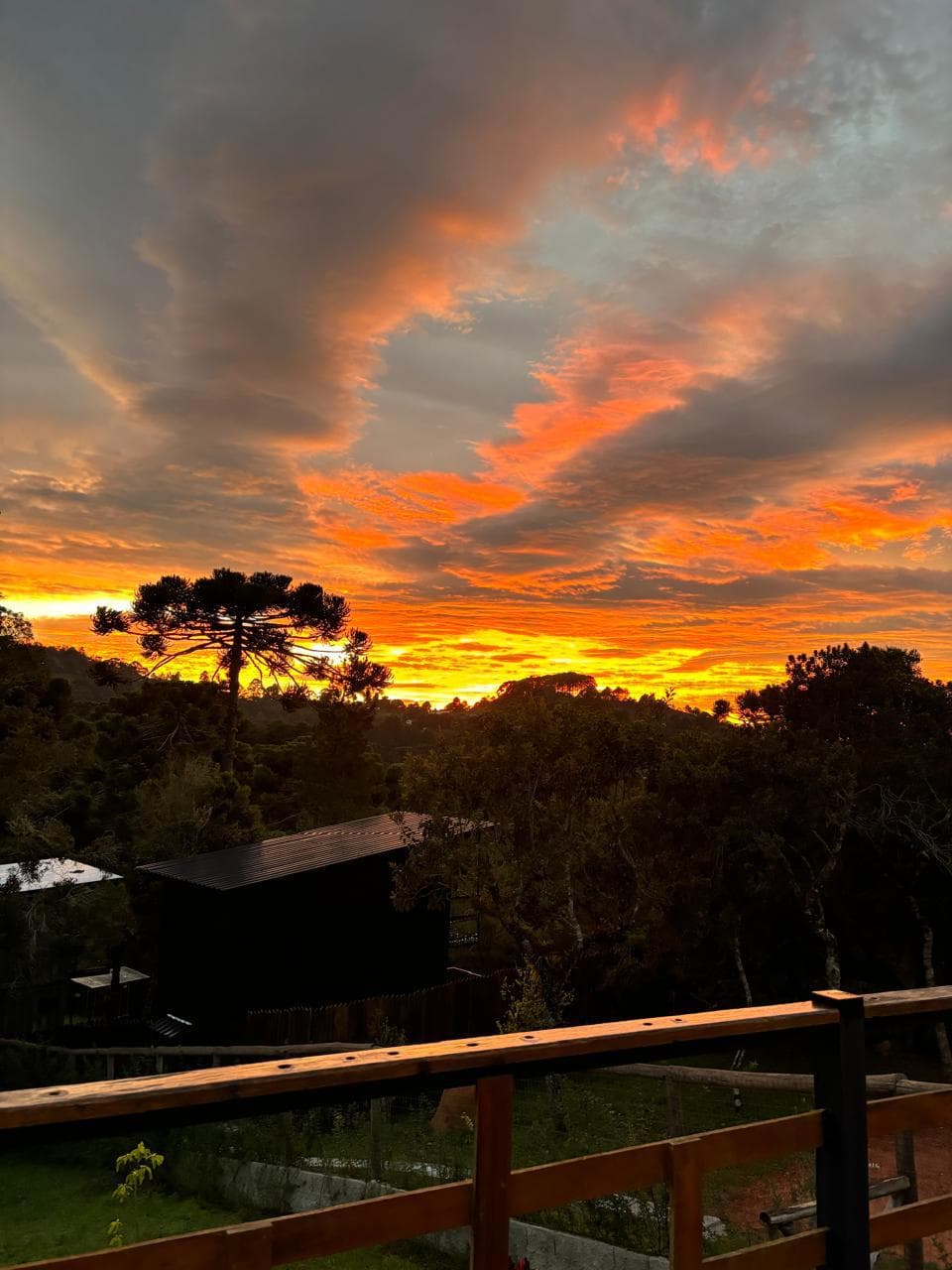 Pôr do sol alaranjado sobre a mata, visto do deck da cabana